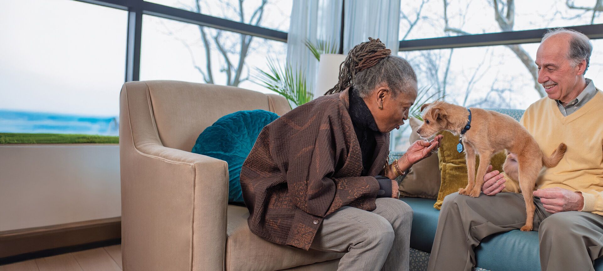 Two older adults sit in a living room as a woman pets a small brown dog resting on a man's lap, enjoying the warmth and companionship often found in Senior Living communities.