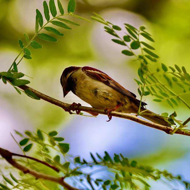 Nature Outside Your Door