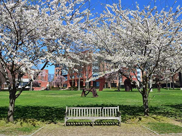 Tour the Residences