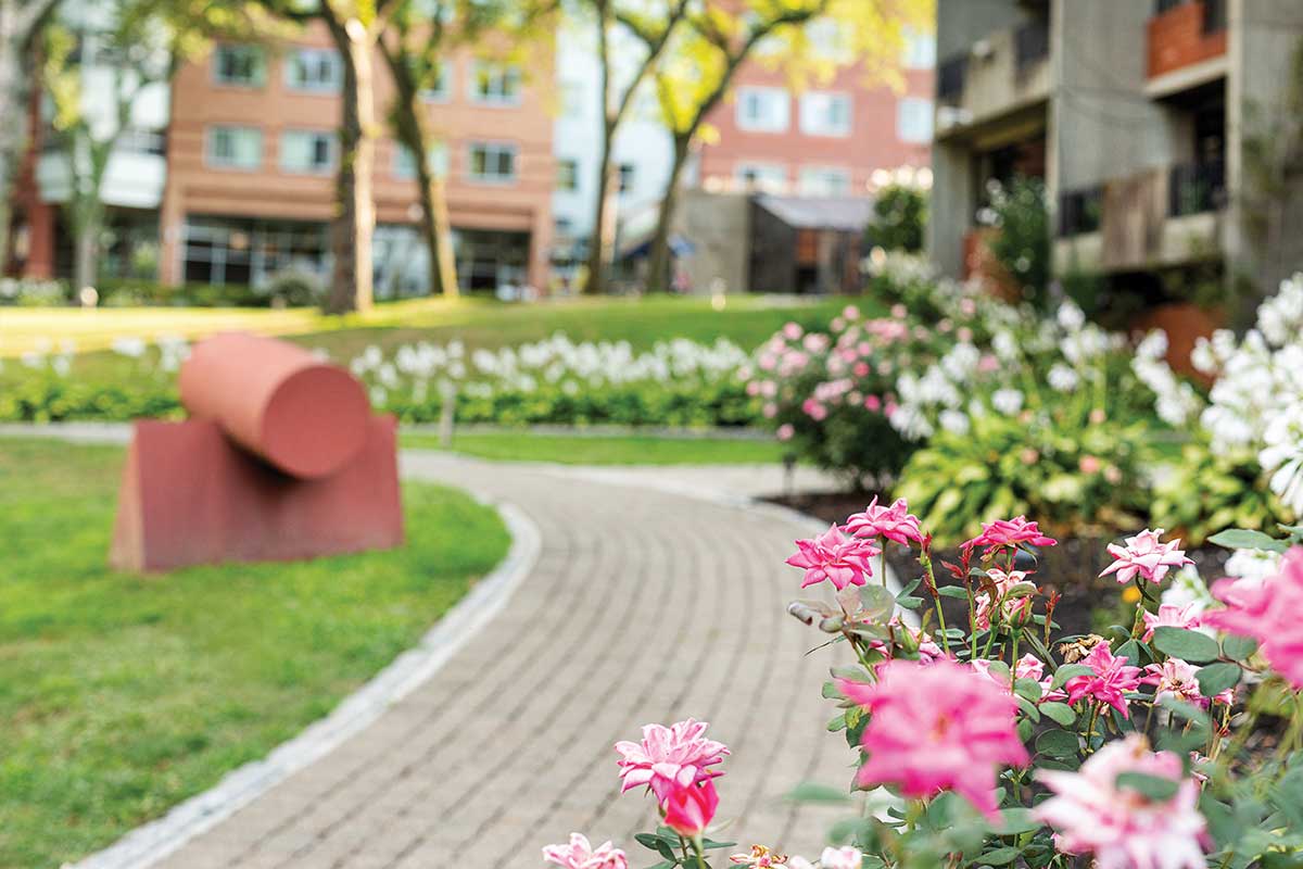 Walk along our flowering paths