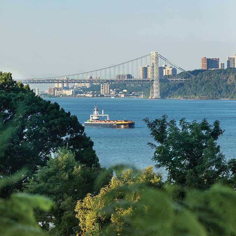 Bridge views